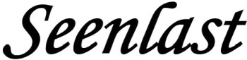 Seenlast logo